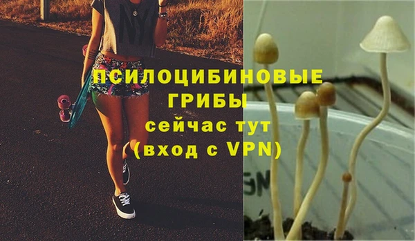 2c-b Лабытнанги