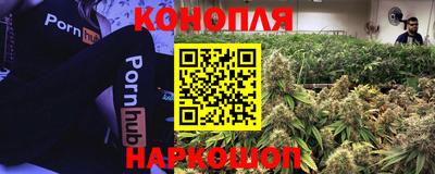 мяу мяу мука Рязань