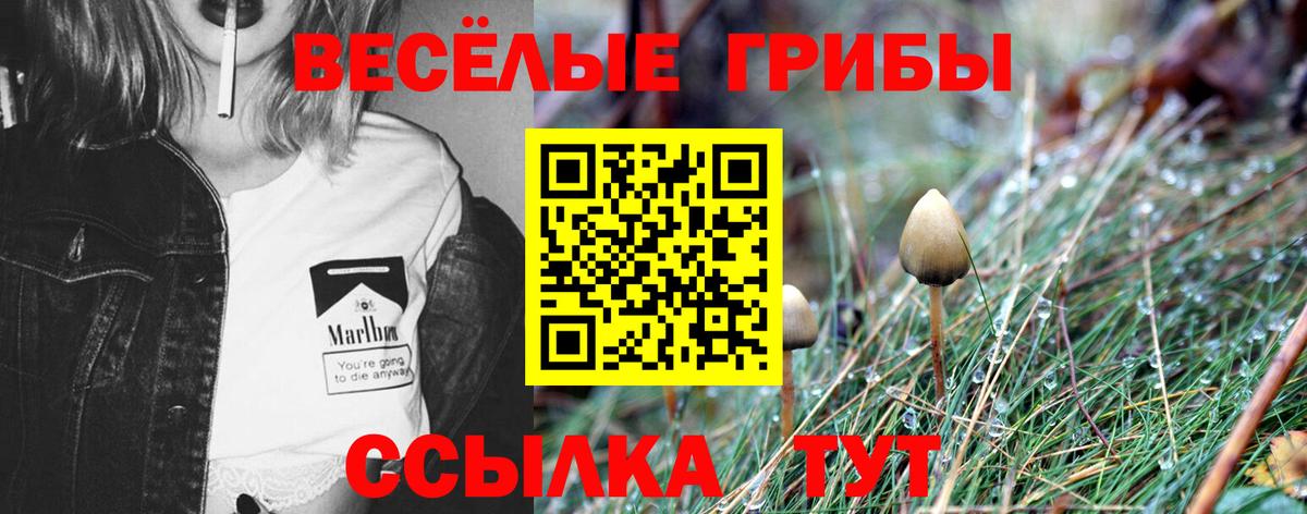 Галлюциногенные грибы Cubensis Черногорск