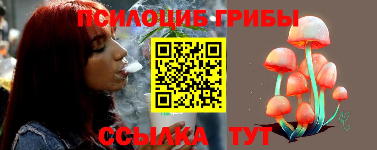 Галлюциногенные грибы Magic Shrooms  Вход с VPN  Черногорск 