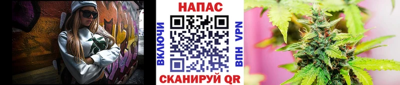 Бошки марихуана семена  дарнет шоп  ОМГ ОМГ сайт  Черногорск 